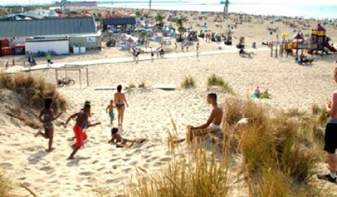 hoek van holland strand groot